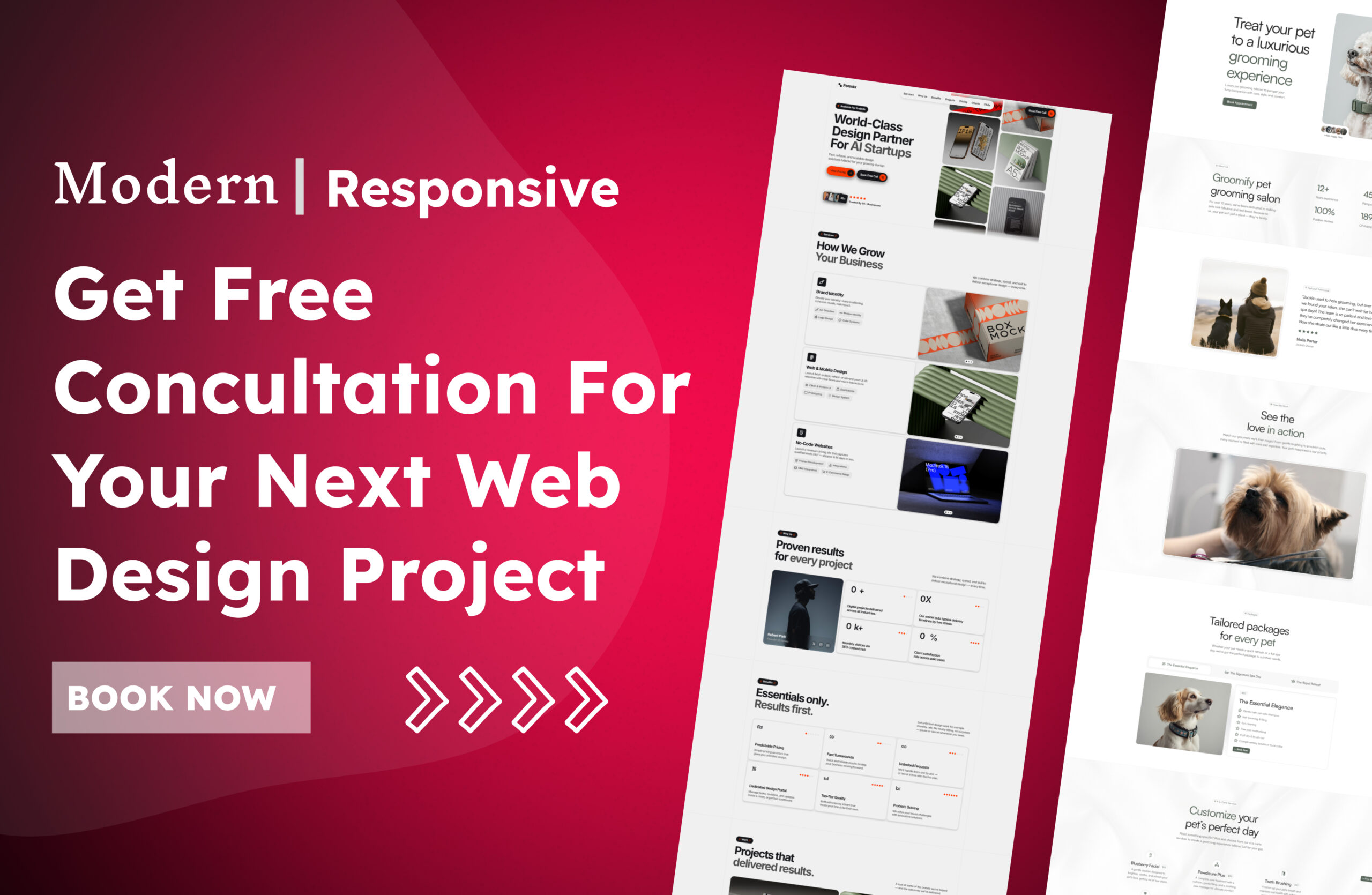 Free Website Design Consultation
